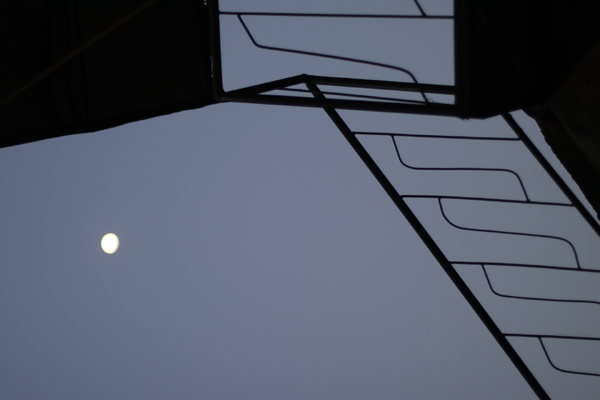 柳树月上柳梢头人约黄昏后