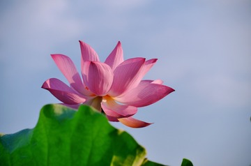 1107209