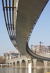 1004209