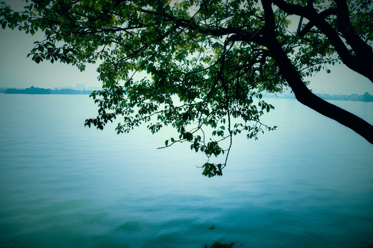 幽静的湖水,给人感觉很安静