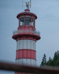 337817