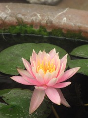48EE3A69-8B3F-4817-AA85-690200DC1986/L0/001