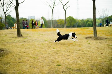 tmp_5d9a29c4e72029f006db88b3f0ffdc48