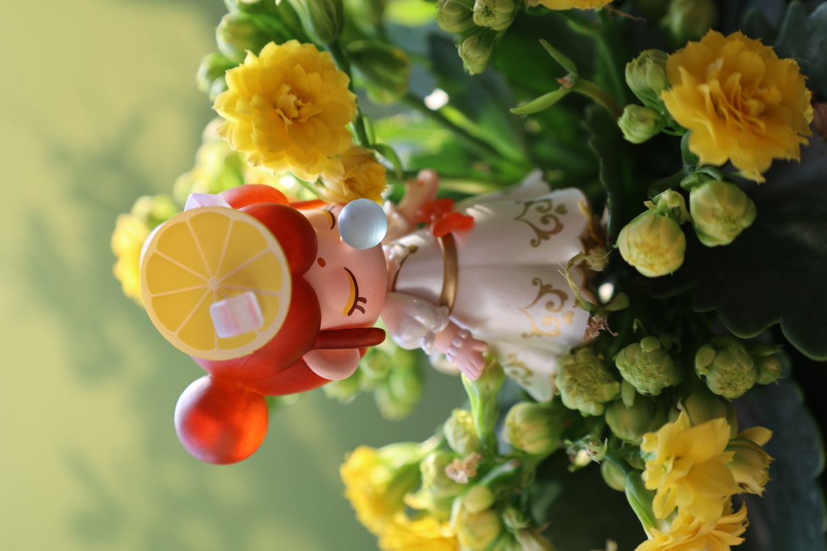 nanci下午茶系列柠檬红茶盲盒和花仙子一样的可爱娃娃