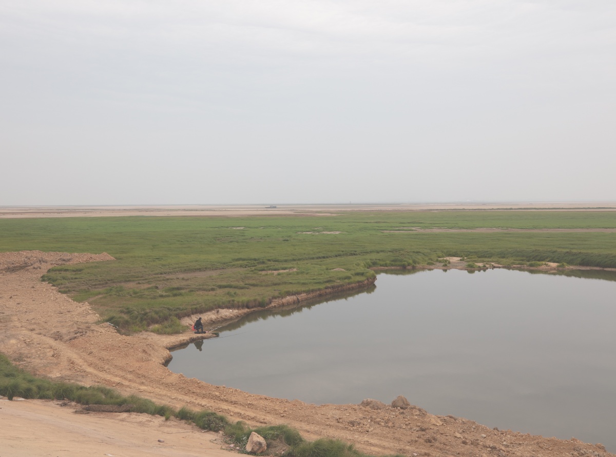 阳 湖 鄱阳湖古称彭蠡,彭泽,在中生代,受燕山运动影响,下陷成为盆地