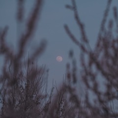 4C66E863-BC1F-4464-A7B0-804EC03FF7FE/L0/001