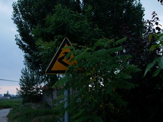 Optional(