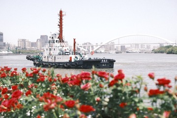 388034
