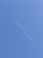 1000036160