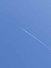1000036163