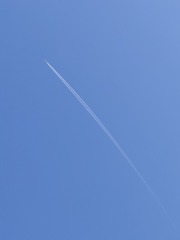 1000036162