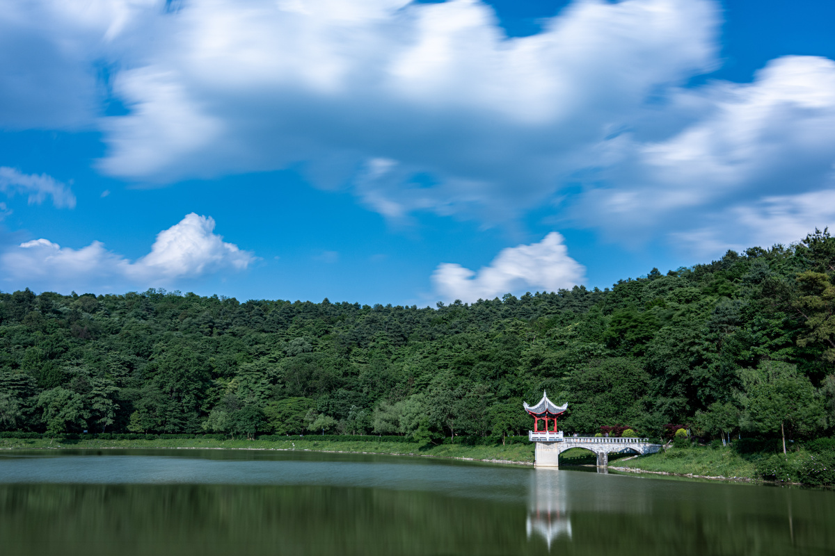 长坡岭森林公园樱花湖