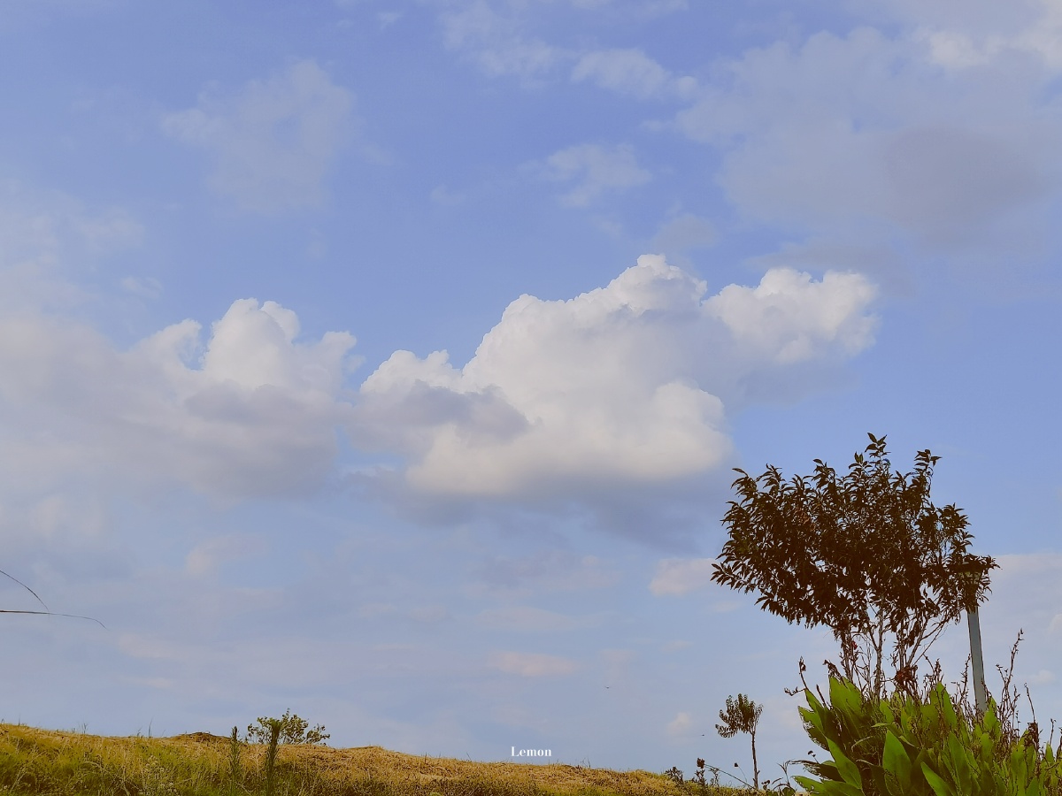 夏天的暖风最能抚慰人心