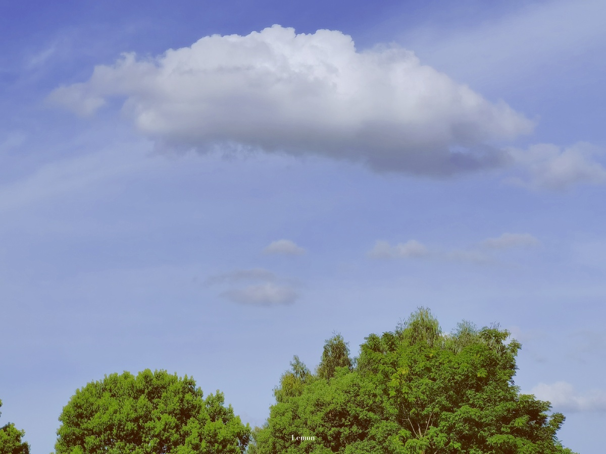 夏天的暖风最能抚慰人心