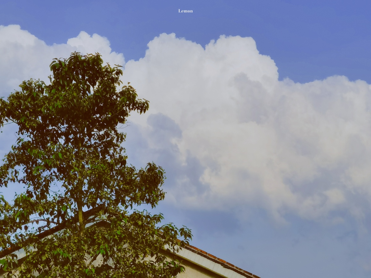 夏天的暖风最能抚慰人心