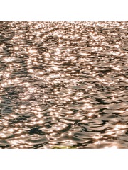 A31258EA-70F0-4A37-897D-07258D773BD8/L0/001