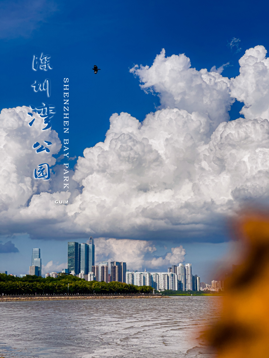 深圳海边深圳湾公园a区