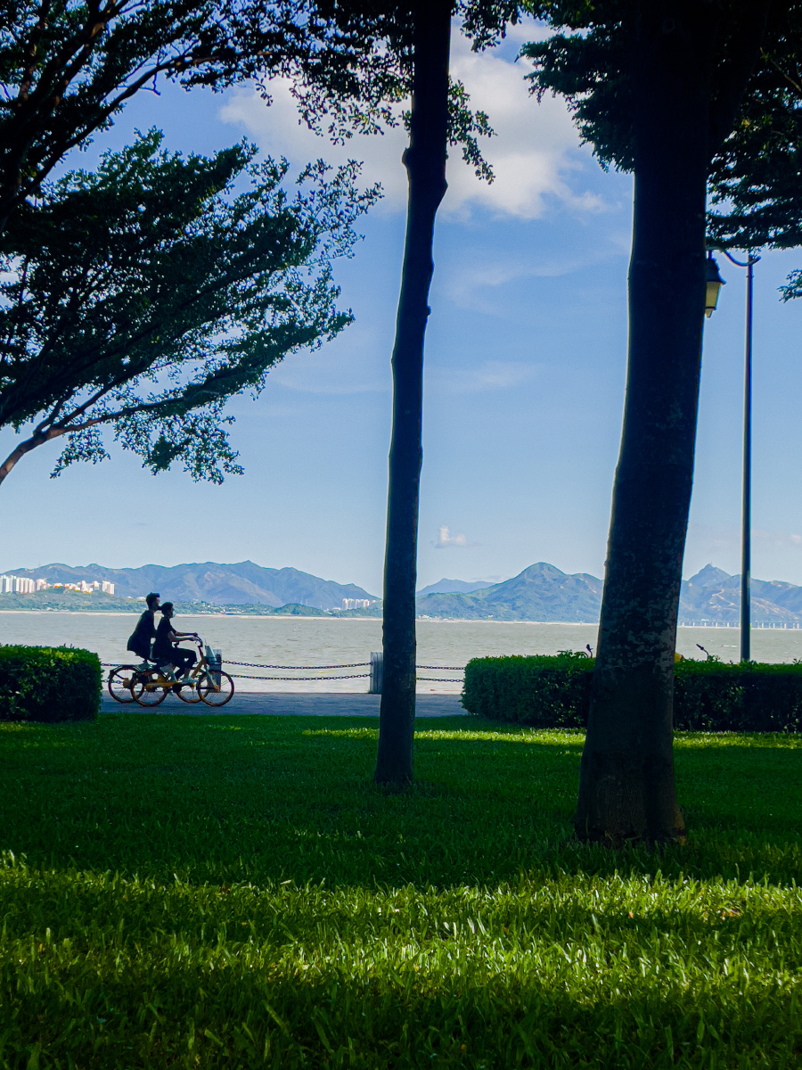 深圳海边深圳湾公园a区