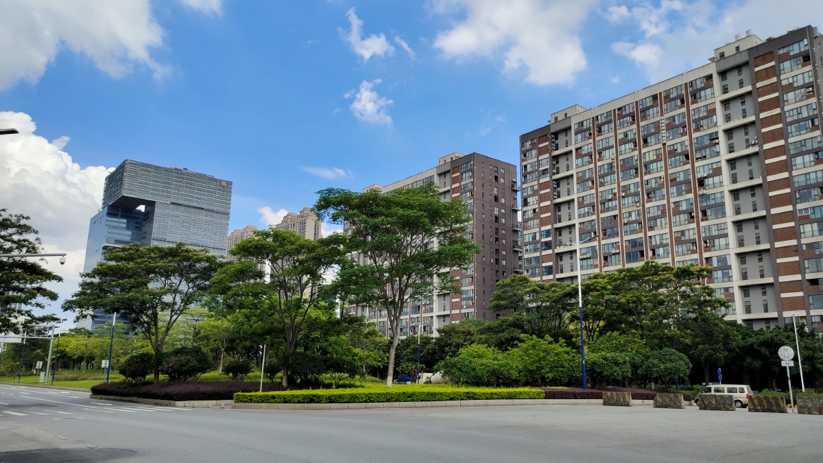 佛山南海区千灯湖城市绿化景观实拍