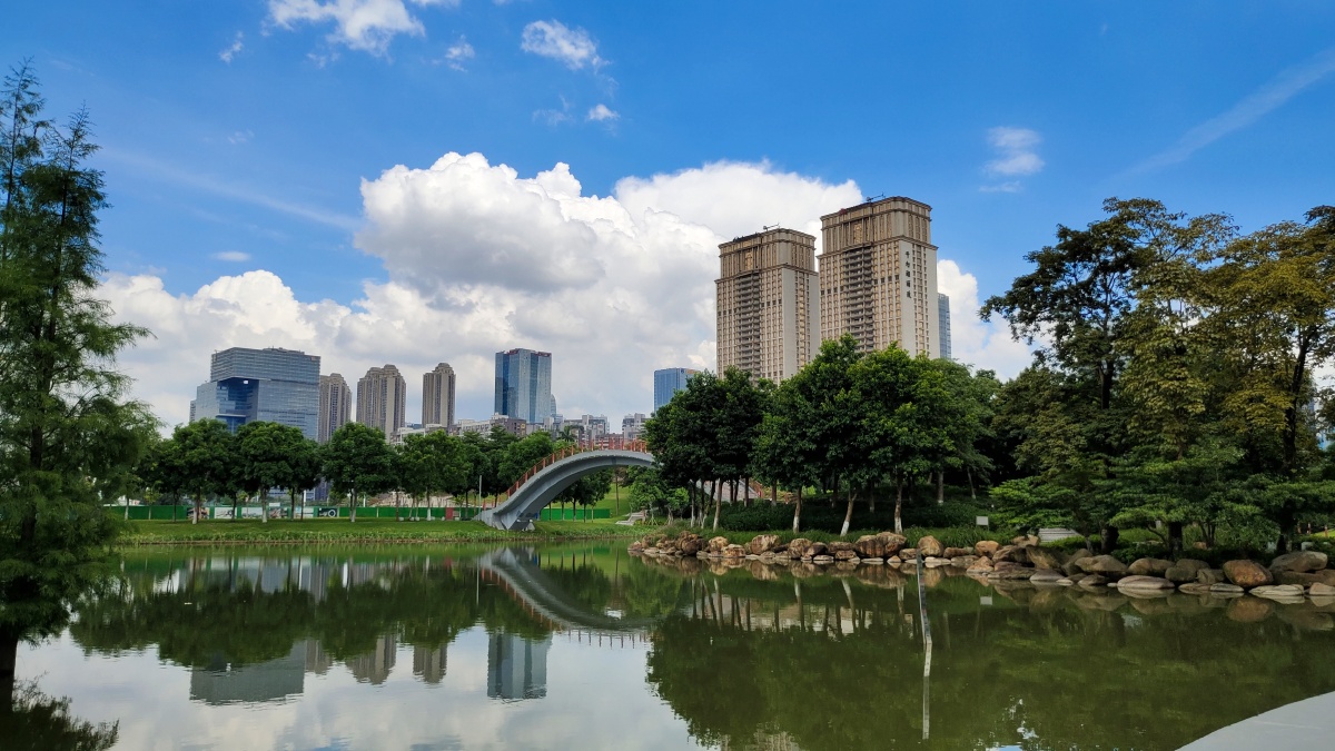 佛山南海区千灯湖城市绿化景观实拍