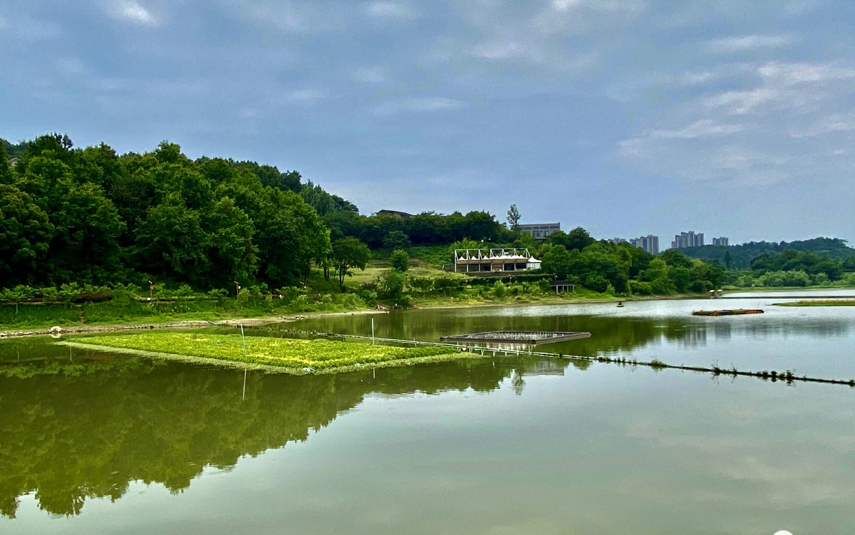 杭州的山水仙境一美丽的青山湖畔白天