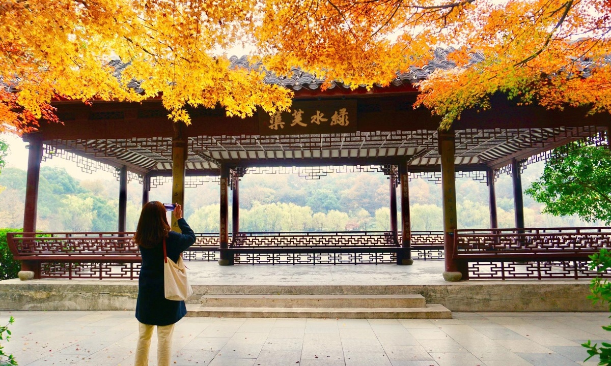 枫叶红银杏黄几度秋意浓一杭州西湖镜湖厅20201212