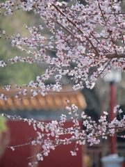 180051