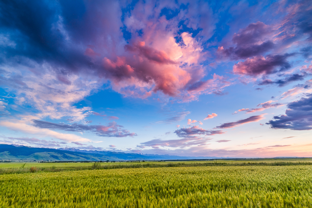 新疆昭苏田园,天山脚下辽阔的平原