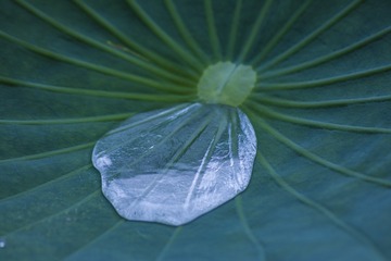 336630