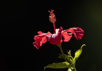 24BBA10F-9D56-40EB-80D2-C441492D9C46/L0/001