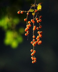 A9B8C261-6159-4BFA-A452-FFCF3572303C/L0/001