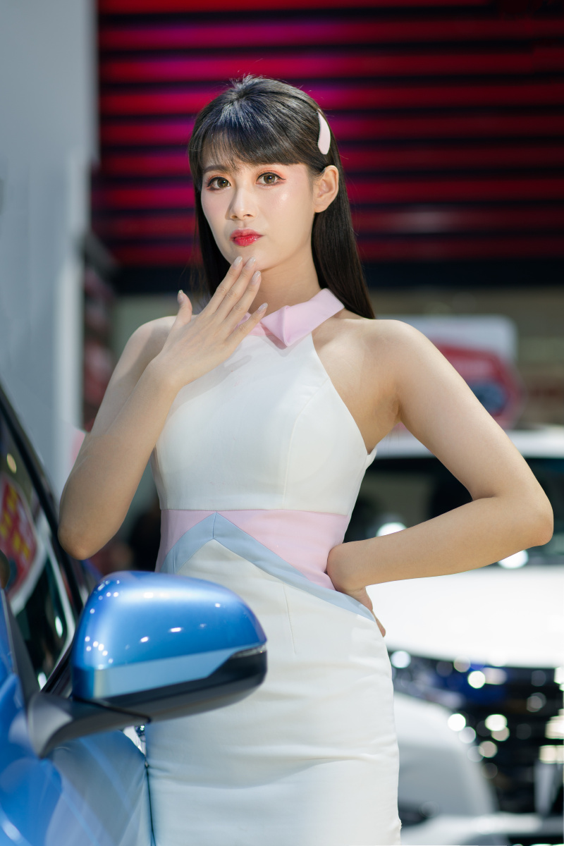 沈阳车展美女如云