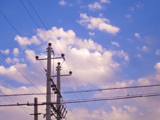 297071