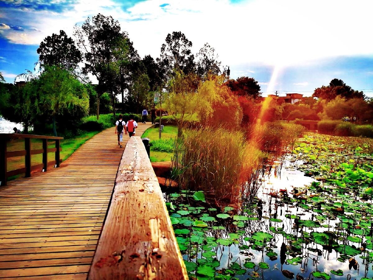 木鱼湖之秋湘潭