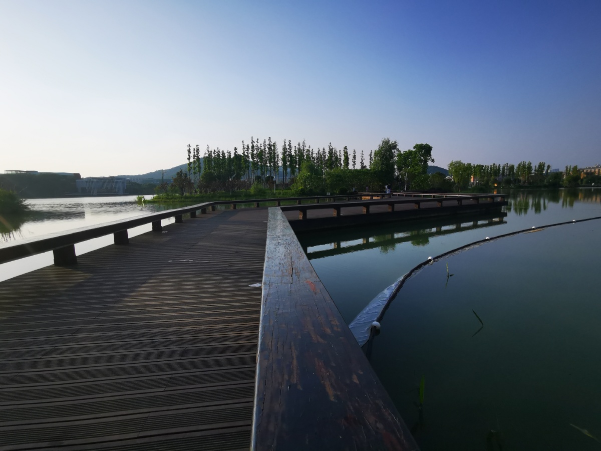 【后湖艺木公园】①后湖风景区位于长沙市岳麓区桔子洲街道,是以湖光