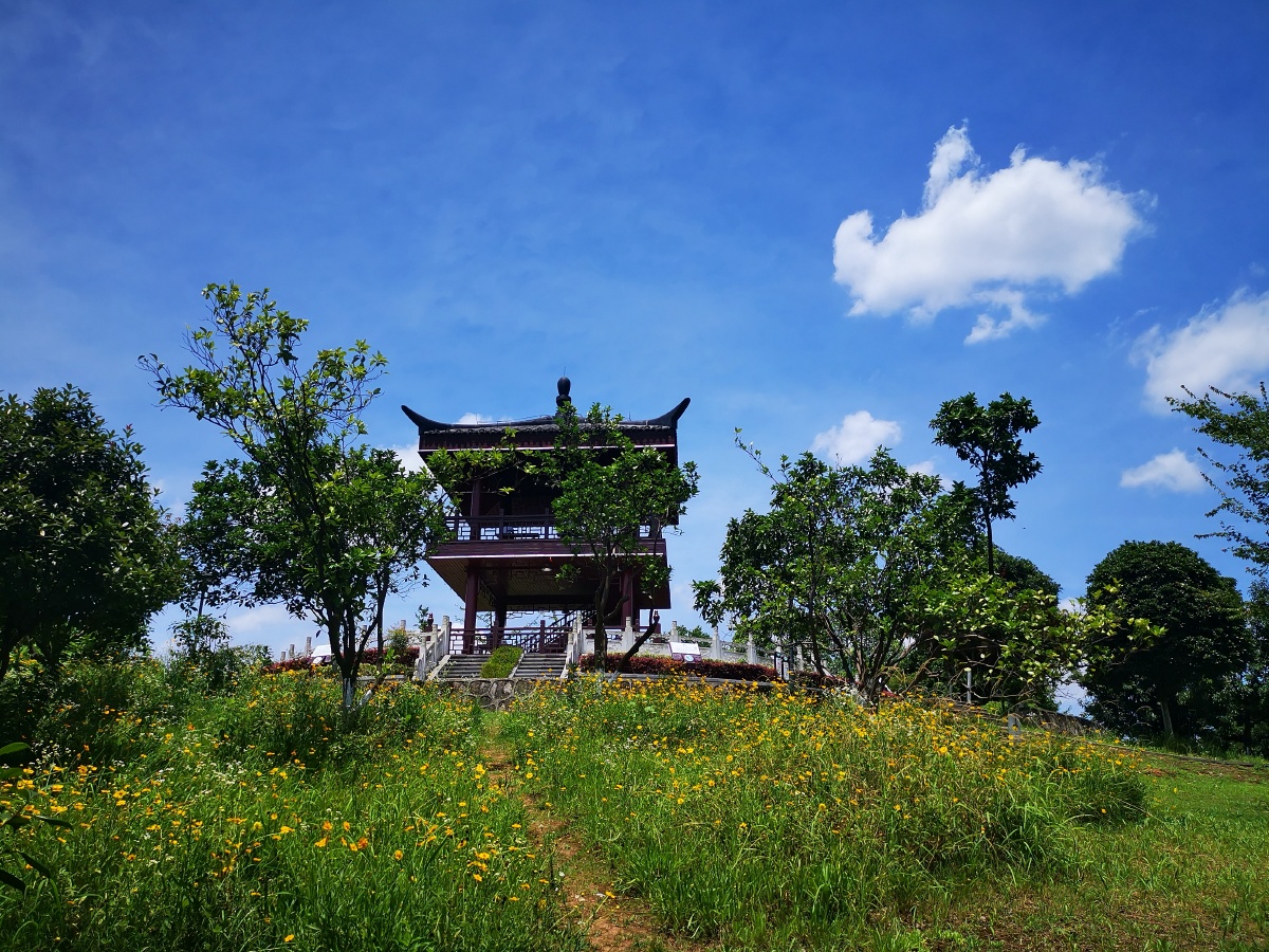 【星沙松雅湖】松雅湖国家湿地公园位于长沙星沙,是全省最大的生态