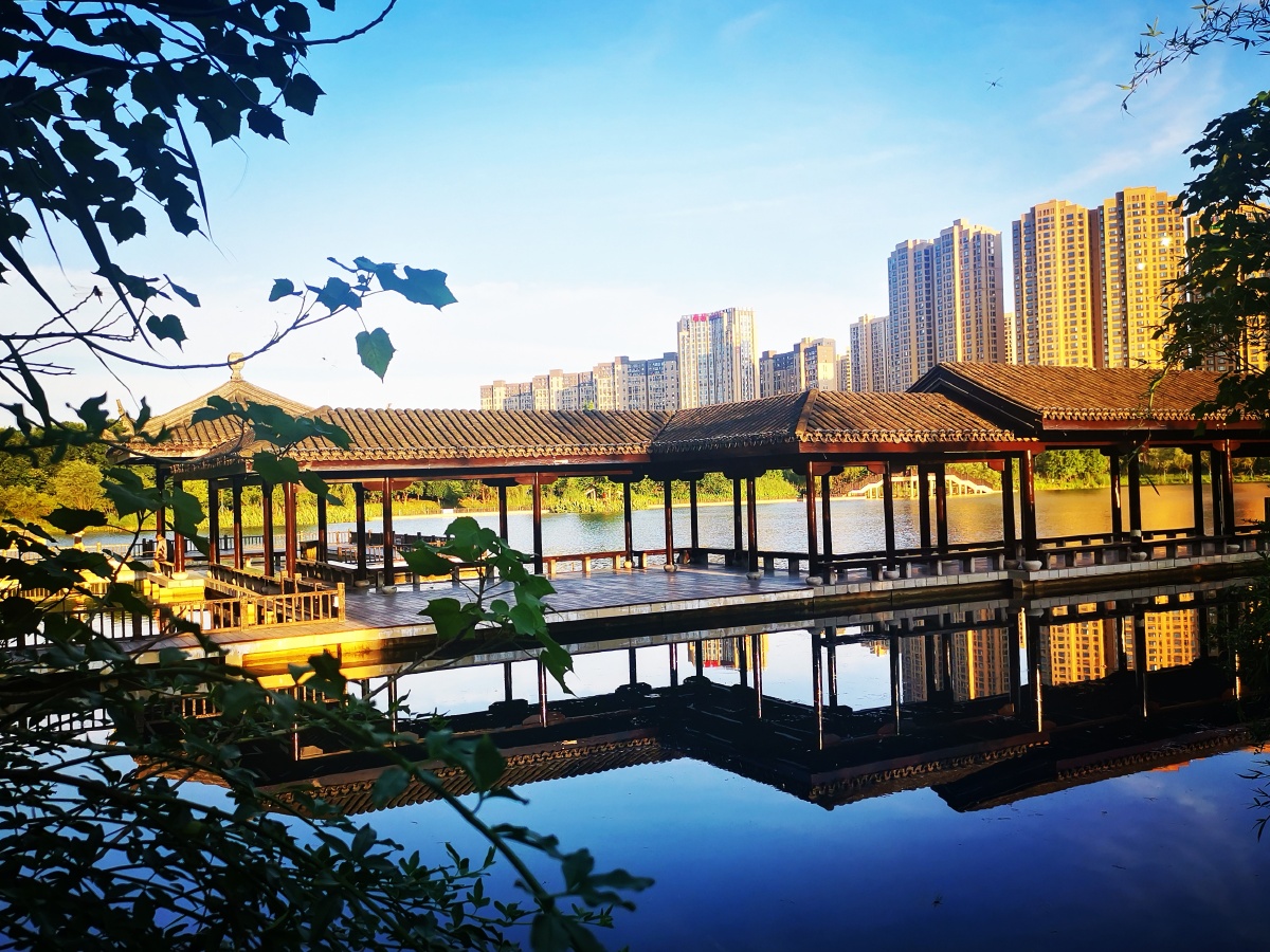 盛夏的洋湖湿地②湖南长沙洋湖湿地公园