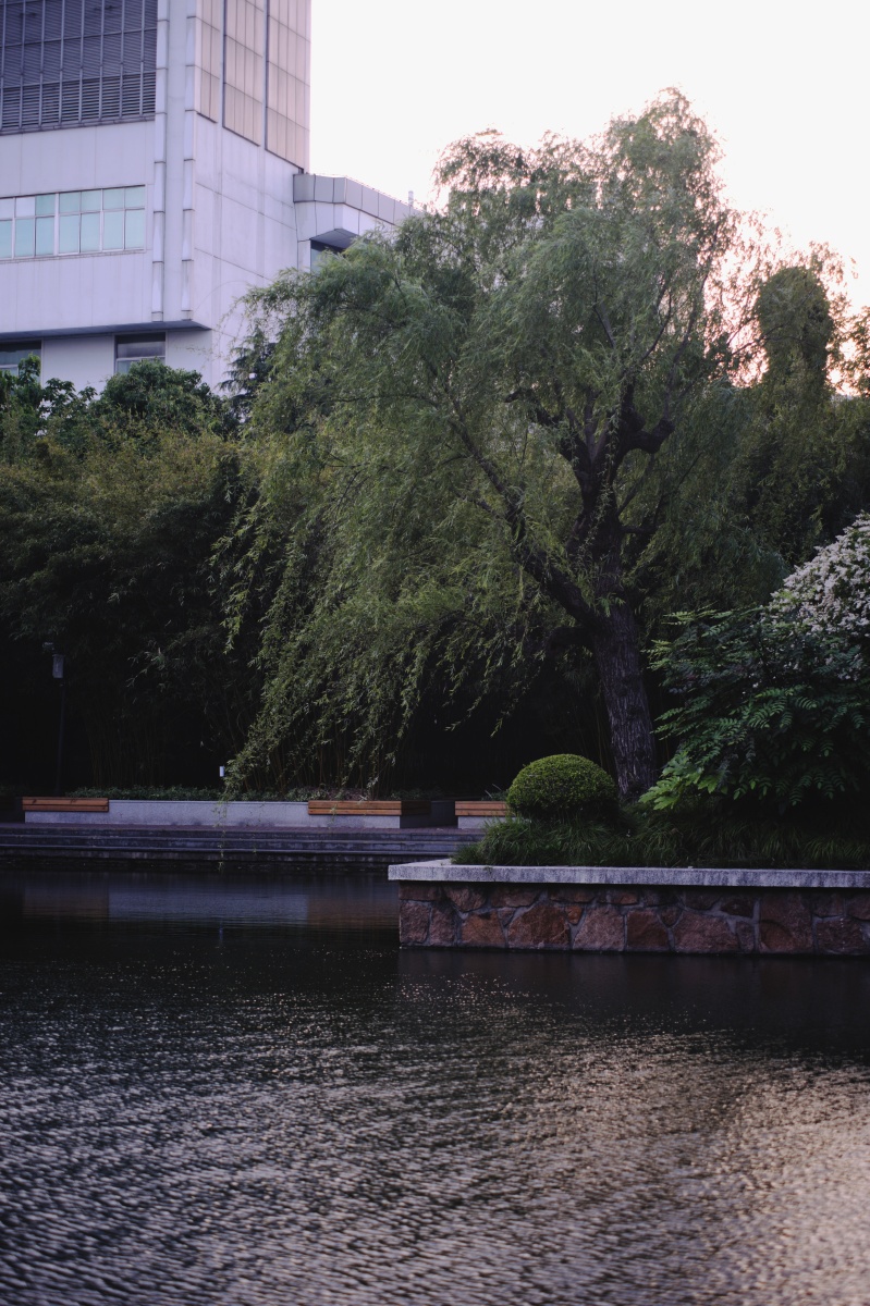 上海浦东临沂公园