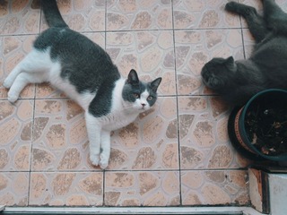 D85B897D-8FF7-4AEF-9B7E-A53C0B8D0DBB/L0/001