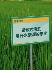 E0B92A26-8A71-4103-B954-DCE5D7D0417A/L0/001