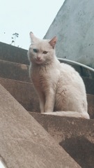 206186