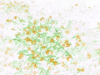 957AF54B-CB3C-4A9A-AF29-66AD03F24CF1/L0/001