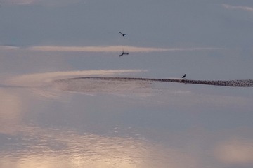 EBB54FED-F6DB-4E07-9DFF-1DEB19D0D7D7/L0/001