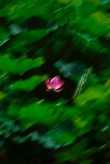 2B6BD47D-2172-40D9-88C7-7B8758EE635A/L0/001