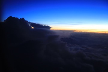 1000008166