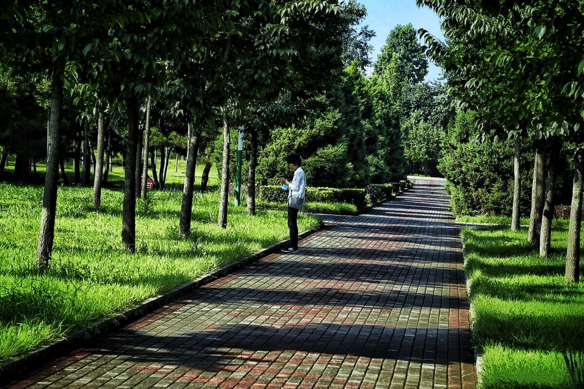 公园步道