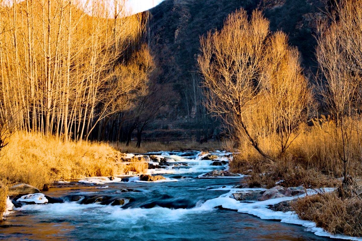 冬天的山林和溪流