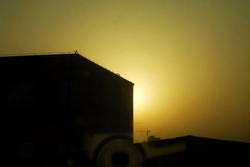 250633