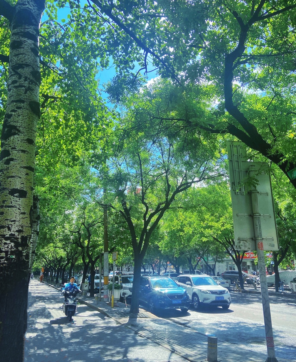 夏季雨后北京小街