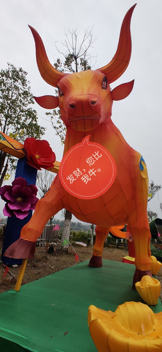 新年发财牛 - 红灯笼493 - 图虫